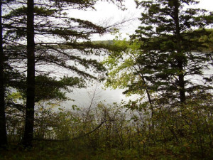 Photo for TBD Inwood Road, Nevis, MN 56467 - Listing #5738250 TBD Inwood Road, Nevis, MN 56467