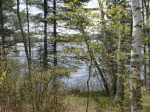 Photo for TBD Inwood Road, Nevis, MN 56467 - Listing #5738250 TBD Inwood Road, Nevis, MN 56467