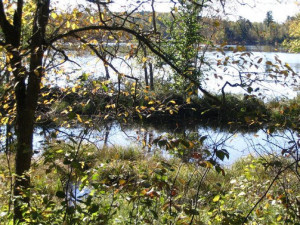 Photo for TBD Inwood Road, Nevis, MN 56467 - Listing #5738250 TBD Inwood Road, Nevis, MN 56467