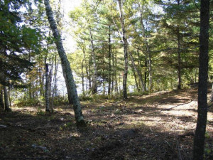 Photo for TBD Inwood Road, Nevis, MN 56467 - Listing #5738250 TBD Inwood Road, Nevis, MN 56467
