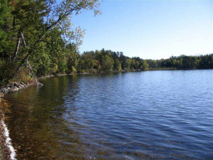 Photo for TBD Inwood Road, Nevis, MN 56467 - Listing #5738250 TBD Inwood Road, Nevis, MN 56467