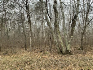 Photo for TBD Crow Crest Drive, Nevis, MN 56467 - Listing #5750390 TBD Crow Crest Drive, Nevis, MN 56467