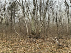 Photo for TBD Crow Crest Drive, Nevis, MN 56467 - Listing #5750390 TBD Crow Crest Drive, Nevis, MN 56467