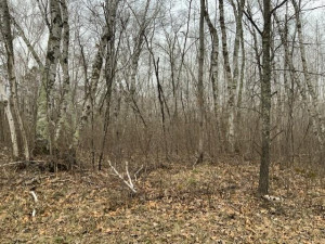 Photo for TBD Crow Crest Drive, Nevis, MN 56467 - Listing #5750390 TBD Crow Crest Drive, Nevis, MN 56467