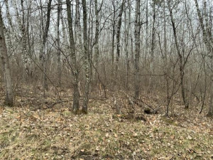 Photo for TBD Crow Crest Drive, Nevis, MN 56467 - Listing #5750390 TBD Crow Crest Drive, Nevis, MN 56467