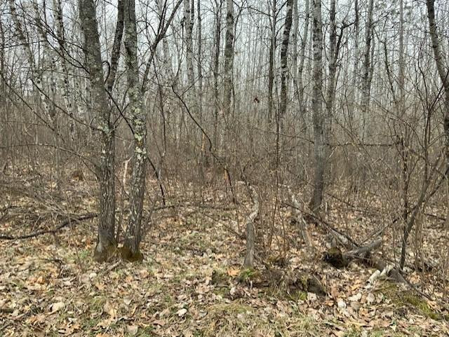 Photo for TBD Crow Crest Drive, Nevis, MN 56467 - Listing #5750390 TBD Crow Crest Drive, Nevis, MN 56467