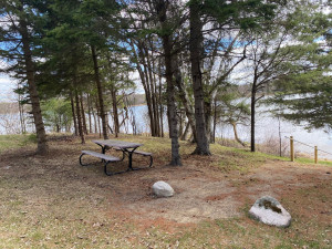 Photo for TBD7 Gateway Lane, Akeley, MN 56433 - Listing #5751641 TBD7 Gateway Lane, Akeley, MN 56433