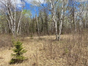 Photo for TBD7 Gateway Lane, Akeley, MN 56433 - Listing #5751641 TBD7 Gateway Lane, Akeley, MN 56433