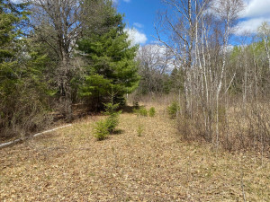 Photo for TBD7 Gateway Lane, Akeley, MN 56433 - Listing #5751641 TBD7 Gateway Lane, Akeley, MN 56433