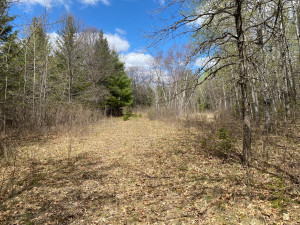 Photo for TBD7 Gateway Lane, Akeley, MN 56433 - Listing #5751641 TBD7 Gateway Lane, Akeley, MN 56433