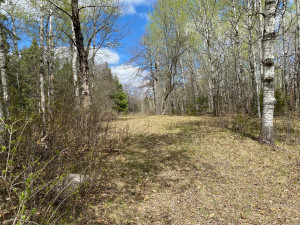 Photo for TBD7 Gateway Lane, Akeley, MN 56433 - Listing #5751641 TBD7 Gateway Lane, Akeley, MN 56433