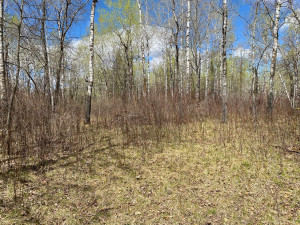 Photo for TBD6 Gateway Lane, Akeley, MN 56433 - Listing #5751676 TBD6 Gateway Lane, Akeley, MN 56433