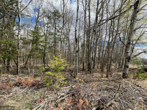 Photo for TBD Centerline Road NW, Shevlin, MN 56676 - Listing #5751680 TBD Centerline Road NW, Shevlin, MN 56676