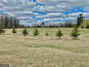 Photo for TBD Centerline Road NW, Shevlin, MN 56676 - Listing #5751680 TBD Centerline Road NW, Shevlin, MN 56676
