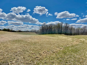 Photo for TBD Centerline Road NW, Shevlin, MN 56676 - Listing #5751680 TBD Centerline Road NW, Shevlin, MN 56676