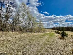 Photo for TBD Centerline Road NW, Shevlin, MN 56676 - Listing #5751680 TBD Centerline Road NW, Shevlin, MN 56676