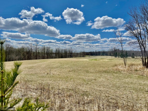Photo for TBD Centerline Road NW, Shevlin, MN 56676 - Listing #5751680 TBD Centerline Road NW, Shevlin, MN 56676