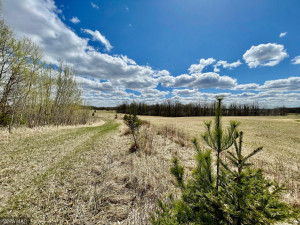 Photo for TBD Centerline Road NW, Shevlin, MN 56676 - Listing #5751680 TBD Centerline Road NW, Shevlin, MN 56676