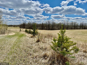 Photo for TBD Centerline Road NW, Shevlin, MN 56676 - Listing #5751680 TBD Centerline Road NW, Shevlin, MN 56676