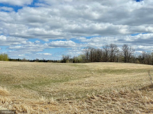 Photo for TBD Centerline Road NW, Shevlin, MN 56676 - Listing #5751680 TBD Centerline Road NW, Shevlin, MN 56676