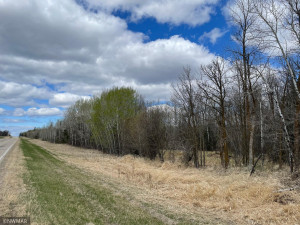 Photo for TBD Centerline Road NW, Shevlin, MN 56676 - Listing #5751680 TBD Centerline Road NW, Shevlin, MN 56676