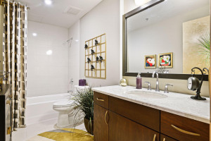 Photo for 1120 S 2nd Street, 605, Minneapolis, MN 55415 - Listing #5751443 1120 S 2nd Street, 605, Minneapolis, MN 55415