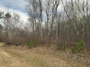 Photo for 13873 Crow Crest Drive, Nevis, MN 56467 - Listing #5750333 13873 Crow Crest Drive, Nevis, MN 56467