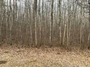 Photo for 13873 Crow Crest Drive, Nevis, MN 56467 - Listing #5750333 13873 Crow Crest Drive, Nevis, MN 56467