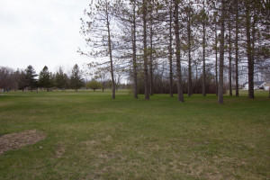 Photo for 221 Sherwood Avenue N, Thief River Falls, MN 56701 - Listing #5587657 221 Sherwood Avenue N, Thief River Falls, MN 56701