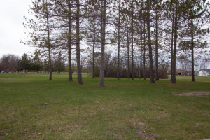 Photo for 221 Sherwood Avenue N, Thief River Falls, MN 56701 - Listing #5587657 221 Sherwood Avenue N, Thief River Falls, MN 56701