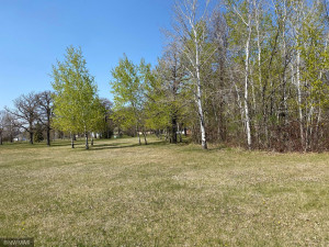 Photo for 401 Robson Court, Thief River Falls, MN 56701 - Listing #5757341 401 Robson Court, Thief River Falls, MN 56701