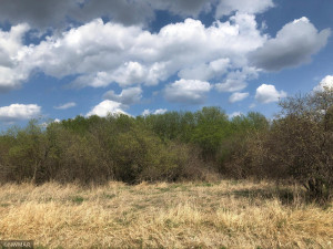 Photo for TBD 560th Avenue, Warroad, MN 56763 - Listing #5761256 TBD 560th Avenue, Warroad, MN 56763