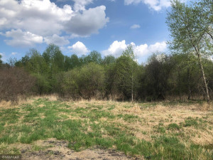 Photo for TBD 560th Avenue, Warroad, MN 56763 - Listing #5761256 TBD 560th Avenue, Warroad, MN 56763