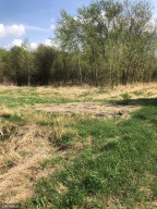 Photo for TBD 560th Avenue, Warroad, MN 56763 - Listing #5761256 TBD 560th Avenue, Warroad, MN 56763