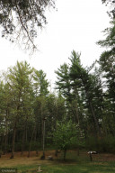 Photo for 4325 Ladyslipper Court NE, Bemidji, MN 56601 - Listing #5761265 4325 Ladyslipper Court NE, Bemidji, MN 56601