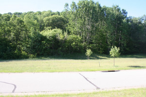 2713 Oakhurst Drive, Lake City, MN 55041