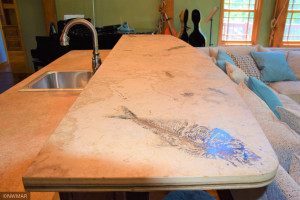 Photo for 8201 Strongbow Drive NE, Bemidji, MN 56601 - Listing #5765072 Livingroom Wet Bar Rare Fossil Counter Top 2