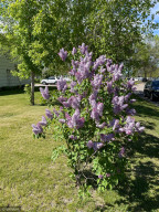 Photo for 710 4th Street NE, Roseau, MN 56751 - Listing #5766356 710 4th Street NE, Roseau, MN 56751