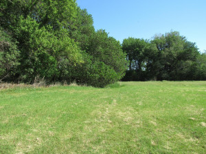 Photo for 12195 510th Avenue, Wells, MN 56097 - Listing #5769500 12195 510th Avenue, Wells, MN 56097