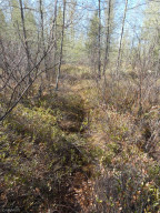 Photo for 72 state highway, Baudette, MN 56623 - Listing #5756798 72 state highway, Baudette, MN 56623