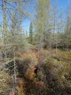 Photo for 72 state highway, Baudette, MN 56623 - Listing #5756798 72 state highway, Baudette, MN 56623