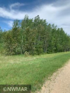 Photo for TBD 21st Avenue SW, Baudette, MN 56623 - Listing #5762083 TBD 21st Avenue SW, Baudette, MN 56623