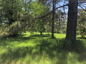 Photo for 17532 Lookout Tower Road NE, Hines, MN 56647 - Listing #6005222 17532 Lookout Tower Road NE, Hines, MN 56647