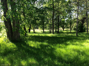 Photo for 17532 Lookout Tower Road NE, Hines, MN 56647 - Listing #6005222 17532 Lookout Tower Road NE, Hines, MN 56647