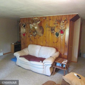 Photo for 5264 County Road 1 SW, Baudette, MN 56623 - Listing #6005390 5264 County Road 1 SW, Baudette, MN 56623