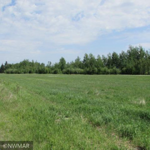 Photo for 5264 County Road 1 SW, Baudette, MN 56623 - Listing #6005390 5264 County Road 1 SW, Baudette, MN 56623