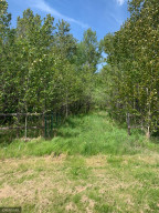 Photo for 8538 County Road 8 NW, Williams, MN 56686 - Listing #5768855 8538 County Road 8 NW, Williams, MN 56686