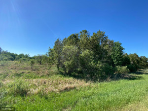 Photo for TBD County 9 Road NW, Bemidji, MN 56601 - Listing #6005951 TBD County 9 Road NW, Bemidji, MN 56601