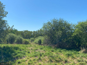 Photo for TBD County 9 Road NW, Bemidji, MN 56601 - Listing #6005951 TBD County 9 Road NW, Bemidji, MN 56601