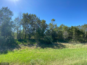 Photo for TBD County 9 Road NW, Bemidji, MN 56601 - Listing #6005951 TBD County 9 Road NW, Bemidji, MN 56601